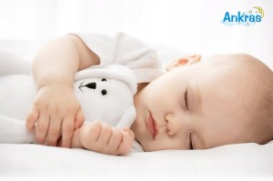 14e8205e6bdc09cc4839e57527dad0fc